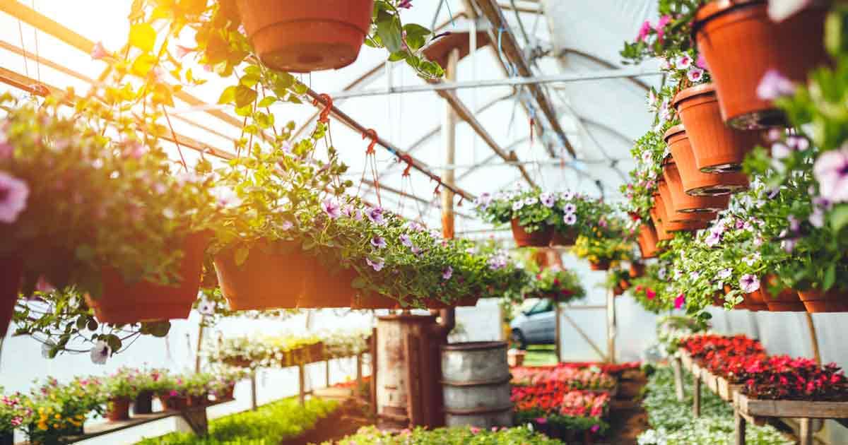 Nursery & Plant Supply