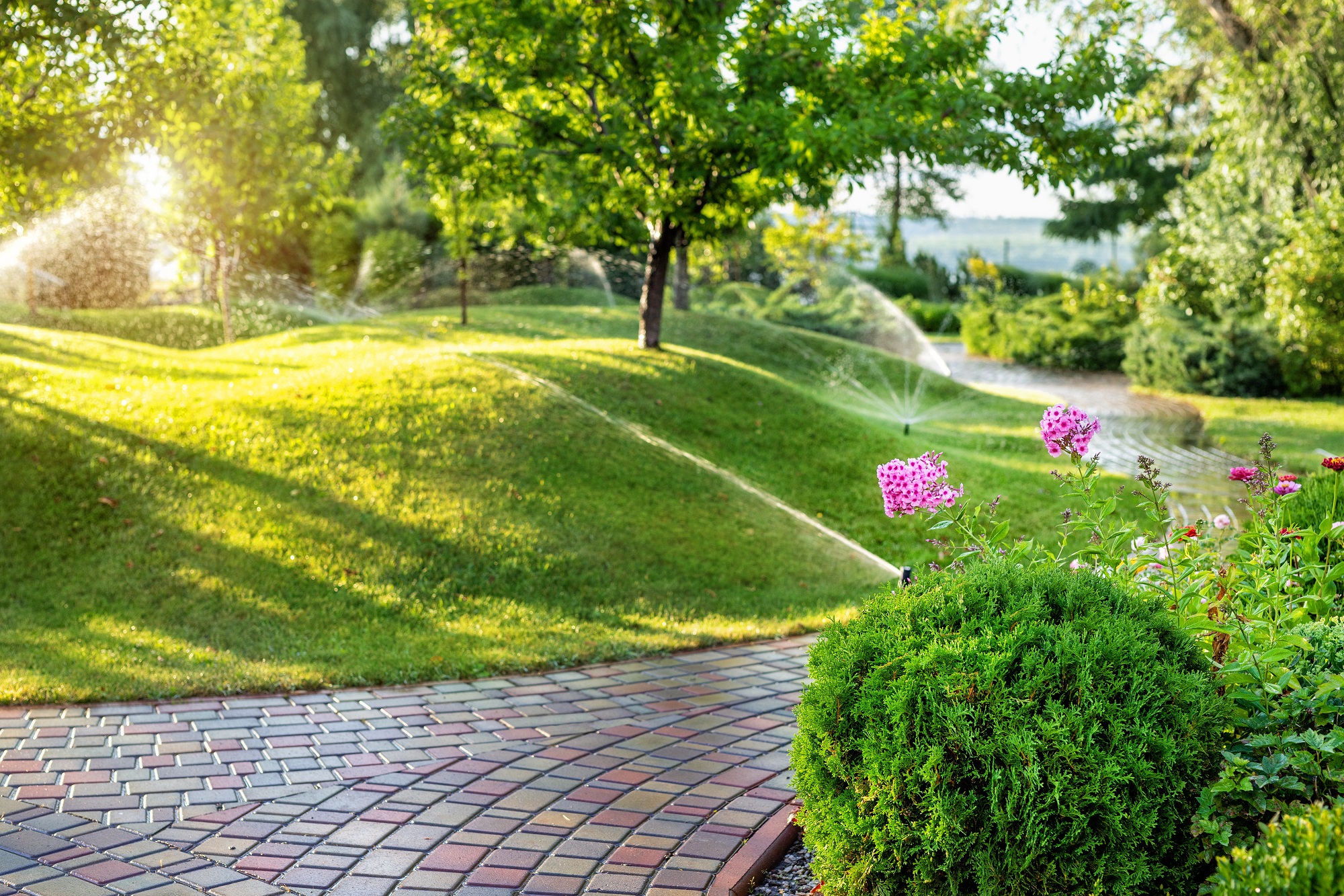 Landscape Maintenance